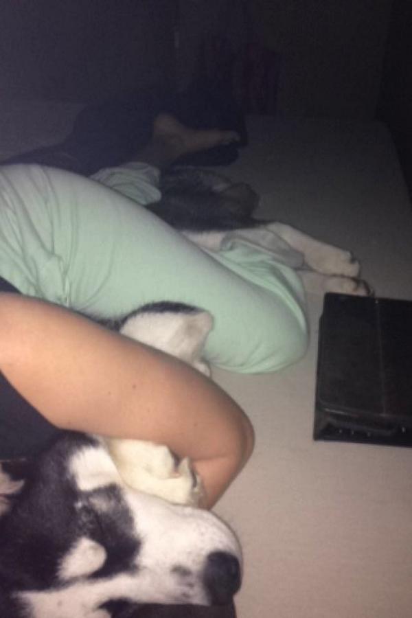 bernellsample's tweet image. My cuddle bug 😘