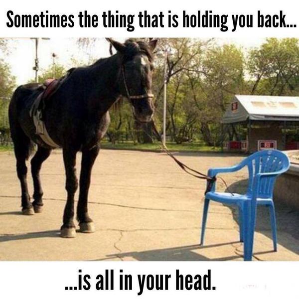 stepbethres's tweet photo. Mental freedom is the true freedom, not physical freedom #bemotivated
http://t.co/2ZIAS9fzoY http://t.co/f1PvQfC715