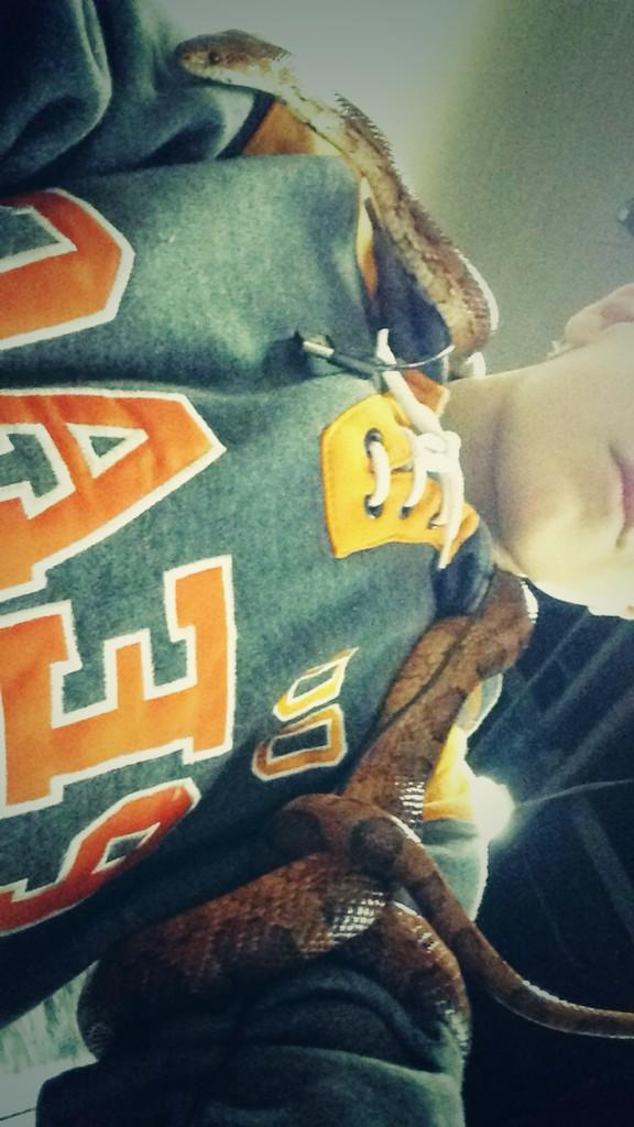 Meanwhile in class yesterday 😹🐍