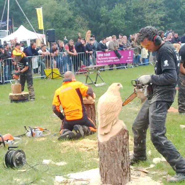 NFUCountryside's tweet photo. Thousands attend #forestry show #APF2014 - read our story here: http://t.co/4afhF2MrdB http://t.co/Jd1niQTwxq