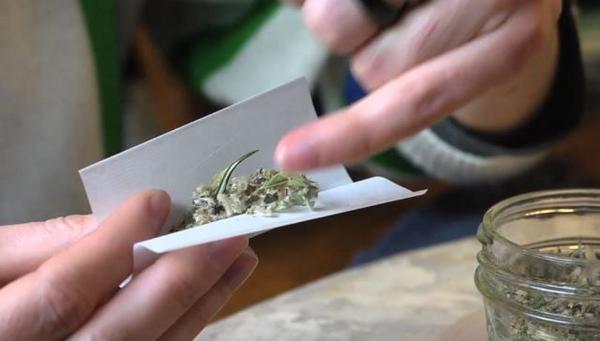 RomanZue's tweet image. Hat von euch schon mal jemand #Tee geraucht? Mehr zu diesem Trend hier: goo.gl/VC3jRV