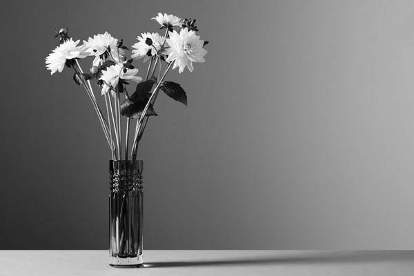 When it comes to leaves, sometimes LESS is BEST:
fantasticman.com/recommendation…