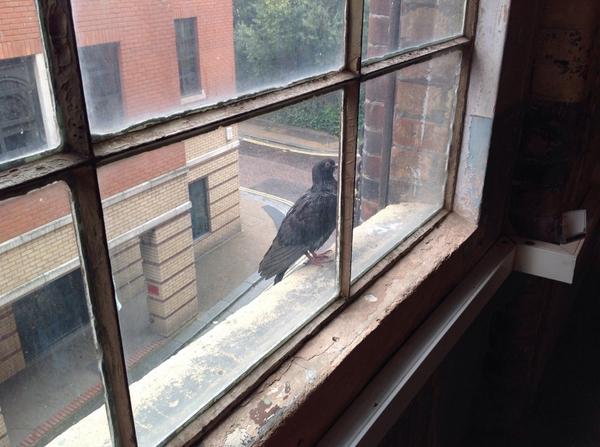 FloatArt's tweet photo. Our very first keen visitor #floatart2014 http://t.co/bVf0KQxAQy