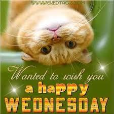 RouteOneInfra's tweet photo. Happy Wednesday everyone! We have almost made it to the weekend! http://t.co/6hp5K3L7fU