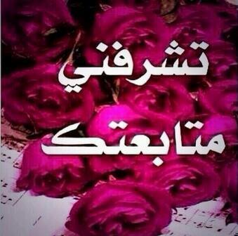 amil877 tweet picture
