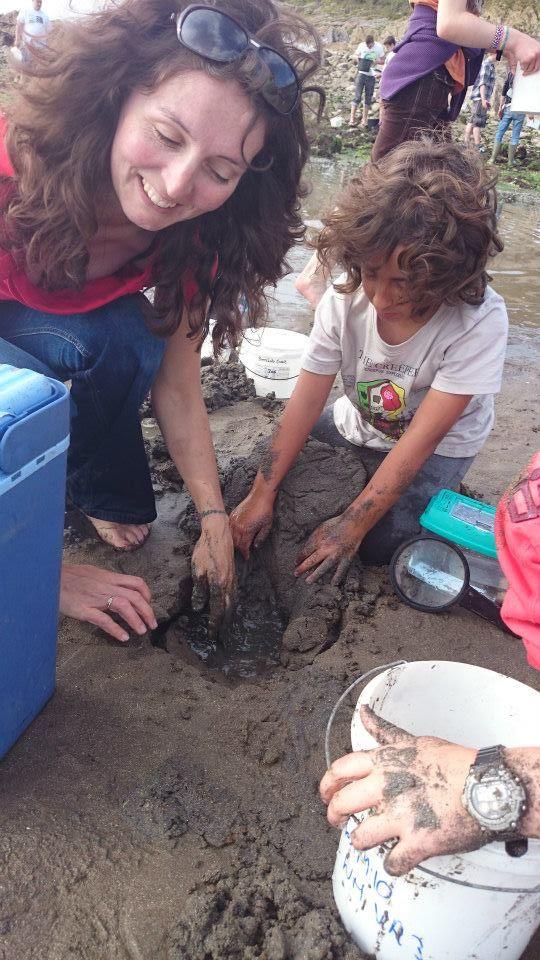 Now at 860 species and we are still accepting records #BattenBayBioblitz #plymnature <a href="/NaturePlymouth/">Nature Plymouth</a> <a href="/OceanCityFest/">Ocean City Festival</a>