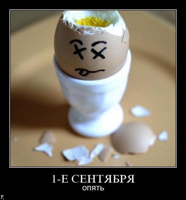 caibitima tweet picture