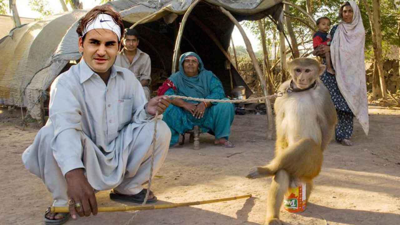 Federer phấn khích vì fan cho 
