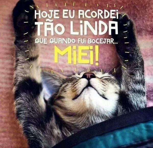 DeiroIrlene's tweet photo. Kkkk http://t.co/vuMm6eBad5