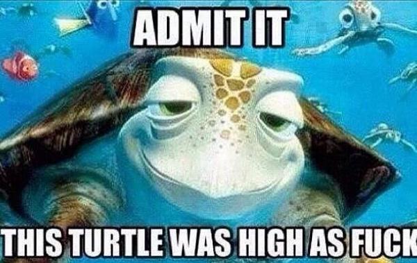 Amy (@amy534679) on Twitter photo 