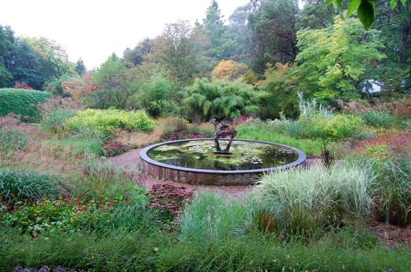 Blimey <a href="/KnollGardens/">Knoll Gardens</a> is worth a visiit peeps, I walked into the Dragon Garden and was in grass heaven