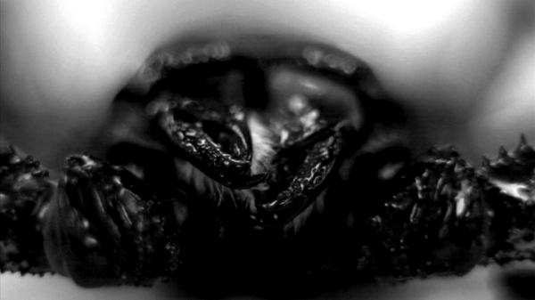 BuzzFeedDoc's tweet photo. 6 days to the finish line! In the mean time - can anyone guess what this is?#biodiversity #bugs #entomophagy #insect http://t.co/RAhQwgwQYl