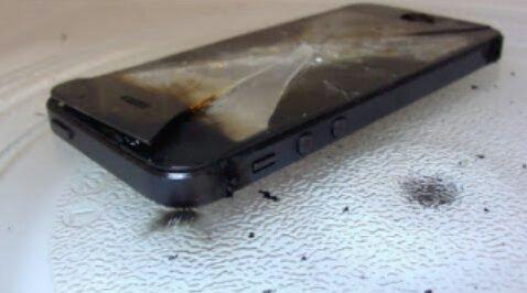 smh's tweet photo. Apple's iPhone 6 falls victim to microwave hoax. http://t.co/LwdnuOolyh http://t.co/CFETKTkey2