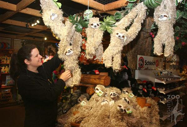 PaigntonZoo's tweet photo. DON'T HANG AROUND!! check out the latest arrival in our Living World Shop – a 3 toed sloth .  £19.99! #sloths http://t.co/60WpfgLLwI