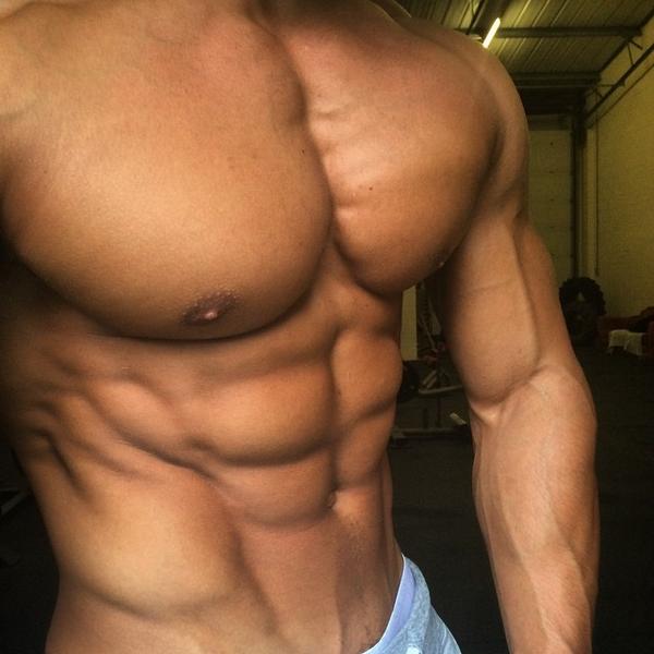 RIPTPerformance's tweet photo. A close up of what Aesthetics look like..
#shredded #fitfam #aesthetics #physique #TeamRIPT http://t.co/V9grmSRMAh