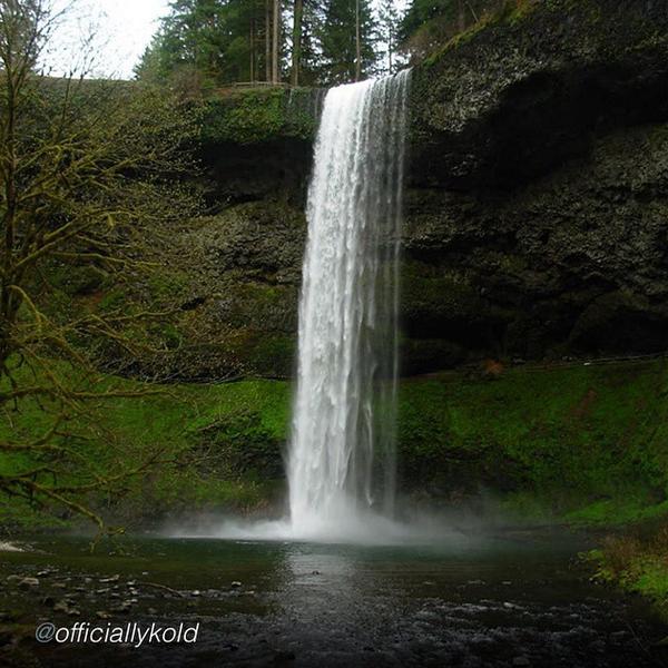 tracetrek's tweet photo. Waterfall Wednesday by @officiallykold!! #Oregon #hikeforcharity #tracetrek http://t.co/lKUiwykPz2