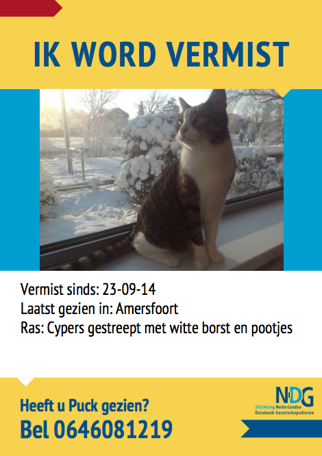 Onze #kat is #vermist in #Amersfoort.. :-( 
Iemand gezien of tips? RT=lief! #033 #schuilenburg