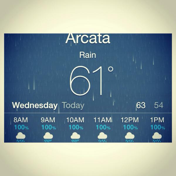 Alchemydist's tweet image. Hip hip horray! #bringontherain #indoorwork #arcata #humboldt