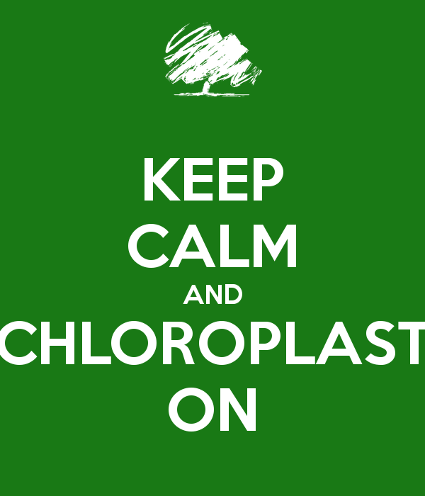 FanChlorotastic's tweet photo. #votechloroplast #murphpak @murphyapbio http://t.co/XvDfMGme3q