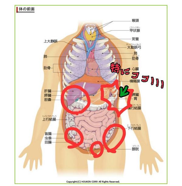 Yuko در توییتر 私の良く音が鳴る所に を付けてみた 主に大腸だ とゆーかほぼ全部だー 特に左の肋骨の所がひどい 胃からも腹鳴り酷いけど たまに数ヶ所から音がしてハモる 今日はボコボコガスすごい爆発 芋のせい Http T Co Y5fdv3o43c