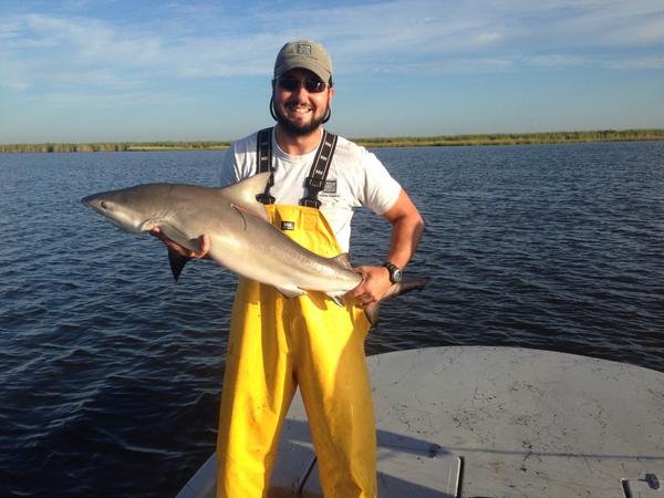 TexasSharks_JD's tweet photo. Amazing morning of #tpwd sampling. 4 Bull Sharks- blood, fin clips, tagged , released #sharkresearch #sharkscience http://t.co/PmyAfUc2UI