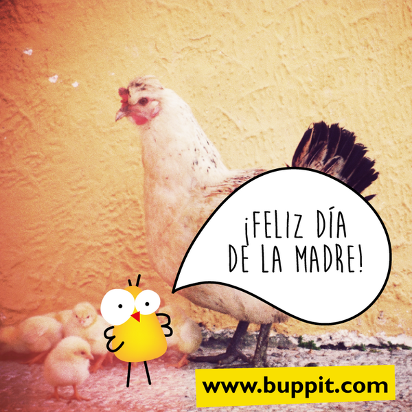 buppit's tweet photo. ¡Feliz día a todas las madres! http://t.co/Yy9rT7PcVU