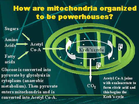 mightymitoch's tweet photo. #powerhouse #murphpak http://t.co/GdNmzAP50Y