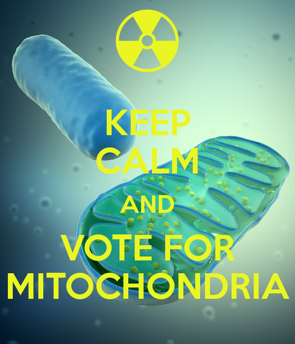 mightymitoch's tweet photo. http://t.co/GoboG3GvnS