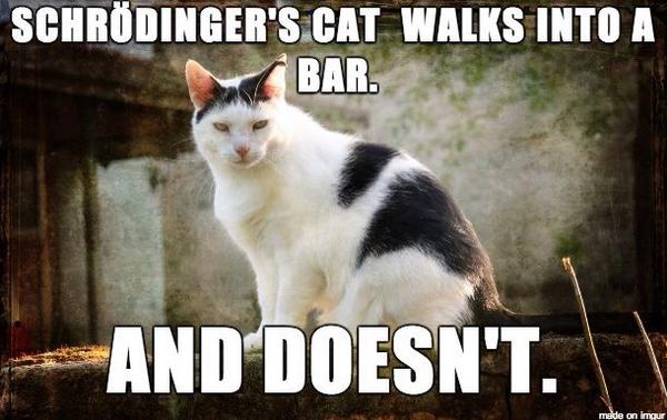 WinkingMutant's tweet image. Got a lot of blank stares from this one.