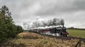shibadscandy's tweet image. When I get riding on the #TwitterTrain, it's smokin'....
