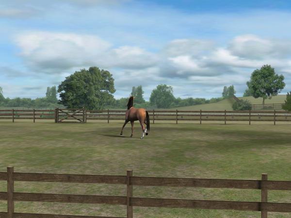 Check out my photo! Add me, AffordKabab614. #MyHorse Amy nmgam.es/horse_twitter