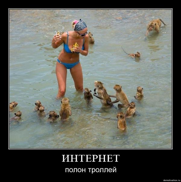 barscimo tweet picture