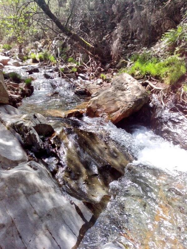 Conciertos, exposiciones, gastronomía  III festival del ciervo n <a href="/visitcabaneros/">P.N. de Cabañeros</a> @EcotourismLife  @turismolamancha