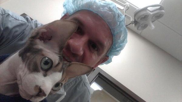tadgerjlo's tweet photo. Hairless cat selfie lol http://t.co/br9YCvRcNP