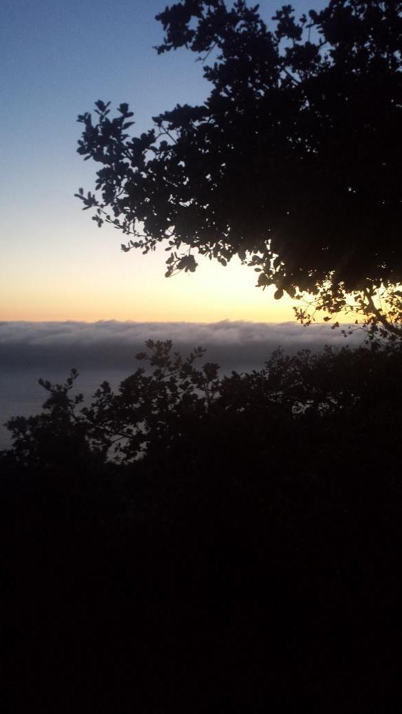 JonShideler's tweet photo. Had dinner with the clouds at #Nepenthe in #BigSur last night. #cloudlevel #sunset http://t.co/66v6YV8Tex