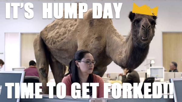 Celebrate #HumpDay right with a good #forking! Only 3 days forkers! #letsgetforked!

Tickets: nightout.com/events/crown-t…
