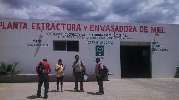 consisur's tweet photo. Gira de intercambio de apicultores en la planta de extracion de miel organica. Cooperativa itunovico .Putla. http://t.co/crhqSopscv