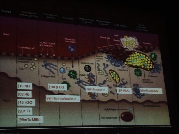 INCICH+INCAN Alexanderson, Guizar, Canseco, Cordero, Garcia.
