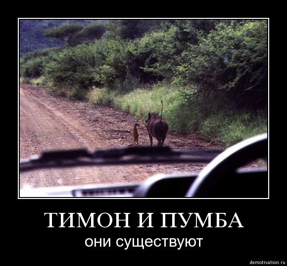 perralindea tweet picture