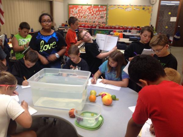 MRM6thMartin's tweet image. #SinkorFloat fruits?