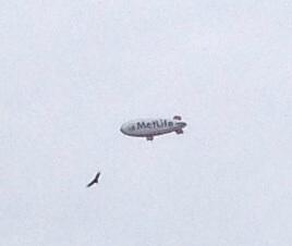 timelbertson's tweet image. Look what I found flying over the PA Turnpike. #MetLifeblimp #randombird