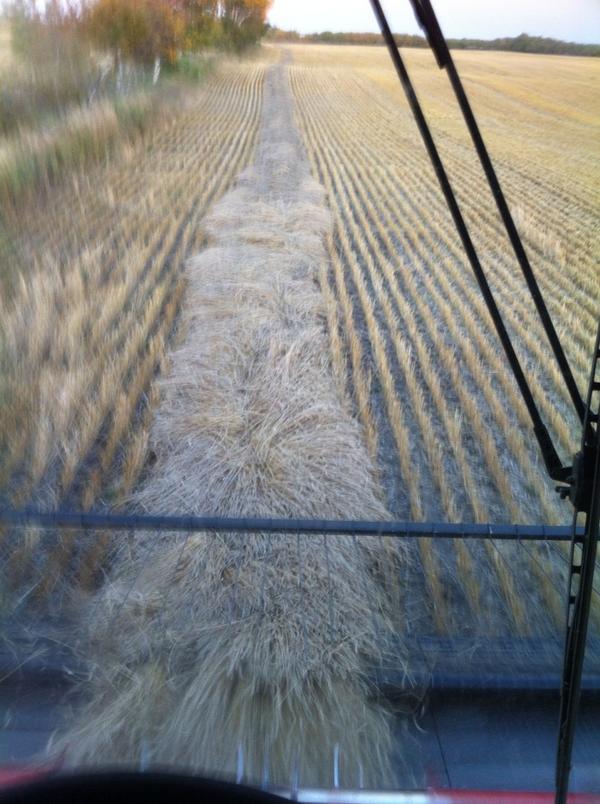 coreyprehn's tweet photo. All that's left except the beer drinking #harvest14 http://t.co/QA7h6qvmsJ