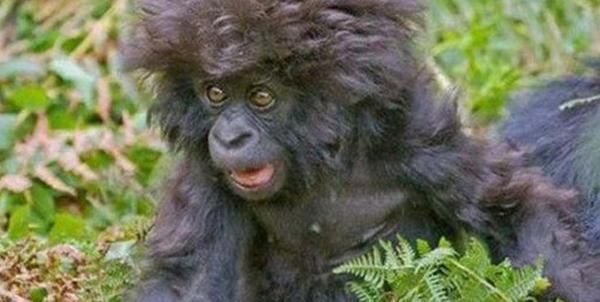 when you miss your alarm...