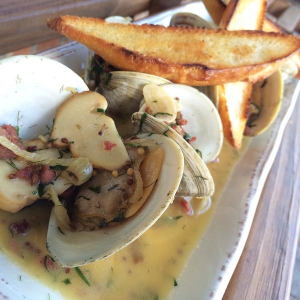 Hibiscus tweet media