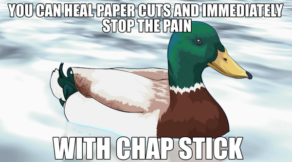ANIMEME's tweet photo. Check it! The #AdviceMallard is dropping some serious knowledge! http://t.co/sCs7XgJJ72 http://t.co/Ko1F8jaEvz