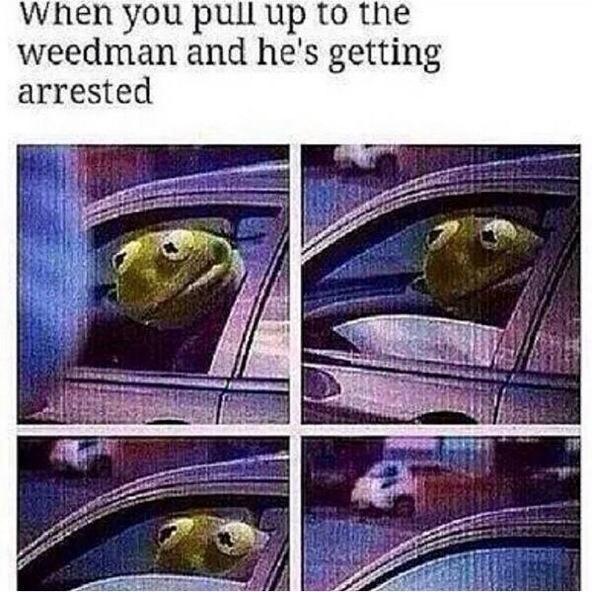TheTimeIGotHigh's tweet photo. I'm done 😂😂😭😩 http://t.co/kzidjPiUMr