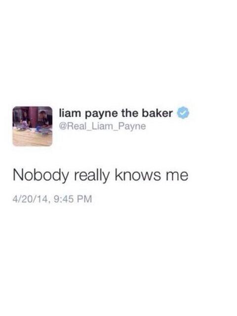 LabibaSamara7's tweet photo. "@HSTheCurlyOne: "The baker"
"The rapper"
"Man in the black"
"Mrs Horan"
"The egg" #LiamTheEgg #EMABiggestFan1D http://t.co/NItt5fBEny"