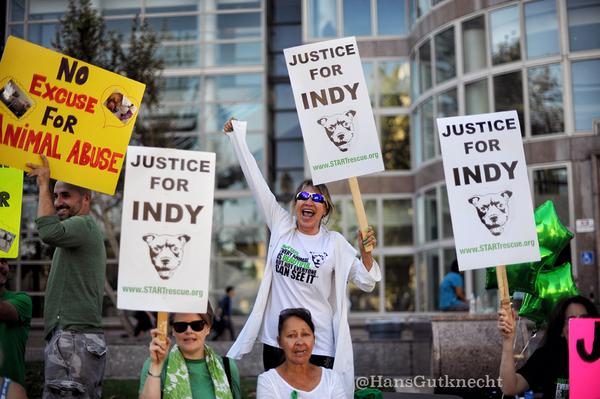 HansGutknecht's tweet photo. tortured dog Indy supporters @ hearing for suspect Duarte #justiceforindy @AnimalAbusers
http://t.co/wTHARXAfMZ http://t.co/tM81kSNtNd
