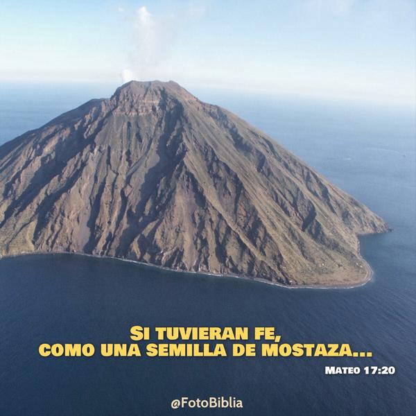 CarlosElCoach tweet picture
