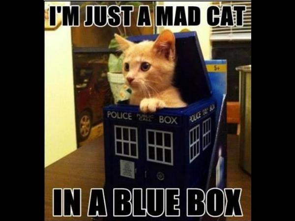 Space_Time_Doc's tweet image. 